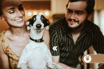hompre-perro.jpg